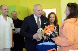 Na Nový rok přišla v porodnici Městské nemocnice na svět tři miminka