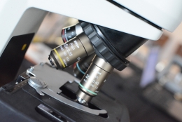 Tradiční předvánoční diagnostický bioptický seminář patologů 2019