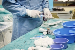Radiologie v Městské nemocnici začala používat novou metodu ke zprůchodnění masivně kalcifikovaných tepen