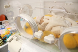 Den otevřených dveří naší porodnice přilákal více než 150 budoucích maminek