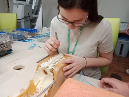 Den pro mediky – Neurochirurgie 2023