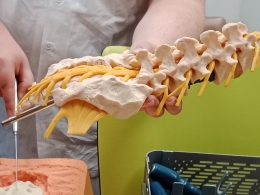 Den pro mediky – Neurochirurgie 2023