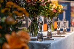 Křištálové kamínky jsou v těch nejlepších rukou, jeden z nich získal i náš Dětský rehabilitační stacionář