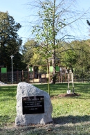 Historie Městské nemocnice Ostrava se začala psát před 175 lety