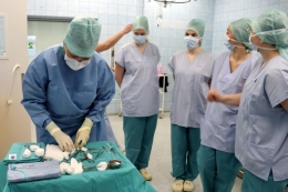 Den pro sestry - Neurochirurgie 2024