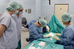 Den pro sestry - Neurochirurgie 2024