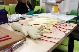 Den pro sestry - Neurochirurgie 2024