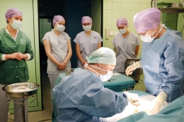 Den pro sestry - Chirurgie 2024