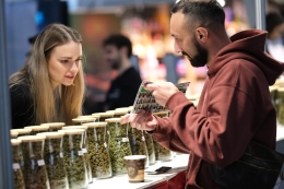 Konopex 2026 v éře legálního konopí. Největší tematicky zaměřený festival v Česku přichází s nabitým programem